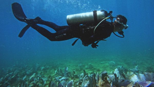 Beach diving for divers 