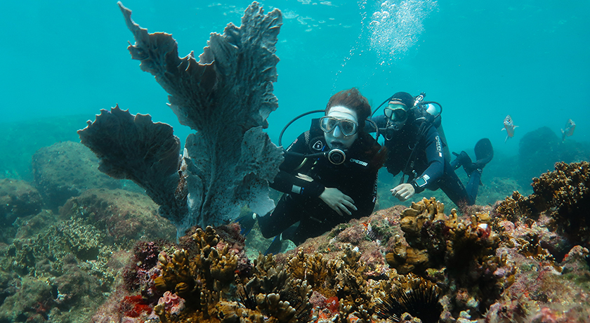 buceo-de-barco-en-buzios-03.jpg