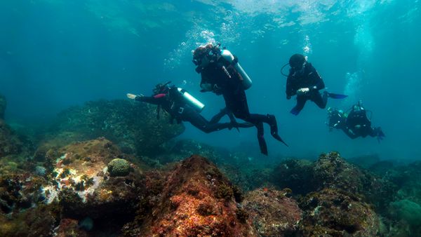 Boat diving for divers 